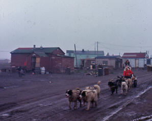 Dogsleds at Barrow, Alaska 1967