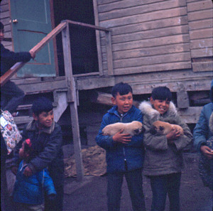 Boys and puppies Barrow Alaska 1967