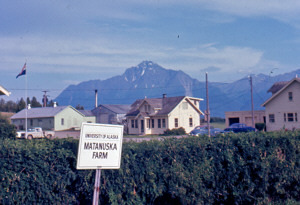 Matanuska Farm Matanuska Vally, Alaska 1967