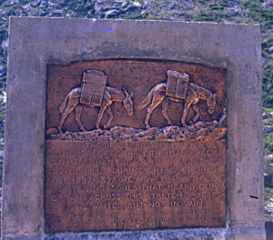 Memorial to Pack Animals who died at White Pass Alaska before narrow gauge rail way was finished.