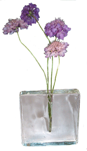 Pincushion Flower Arrangement